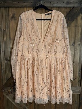 Embellished Blush Long Sleeve V-Neck Party Dress